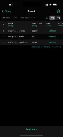 ProbeDeck SQL result on iPhone showing a bounded table of rows with column types, row count and query duration